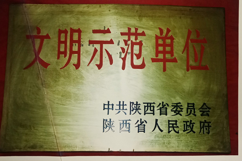 10、省級-陜西省文明示范單位.jpg