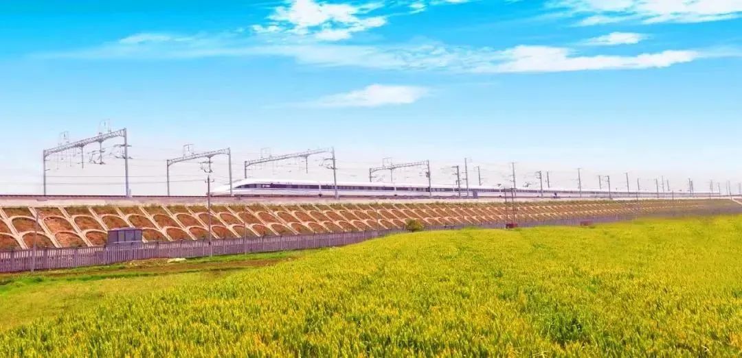 061649208771312582.jpeg 33.jpg